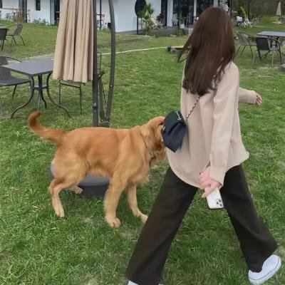 猫妖小杏